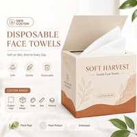 Serviettes faciales jetables en coton doux et respectueux de la peau, emballage personnalisé en boîte, fabrication OEM sous marque privée, fourniture directe d'usine