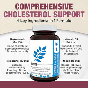 Vitamina de alta calidad, fistroteroles, suplemento diario en CÁPSULAS SIN GLUTEN, promueve la salud cardiovascular y apoya el sistema inmunológico. - Product Image 5