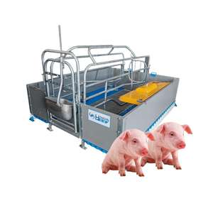 อุปกรณ์ฟาร์มสุกรคุณภาพสูงสไตล์ยุโรป ปี 2026 ระบบคอกคลอดลูกสุกร คอกคลอดสุกร - Product Image 2