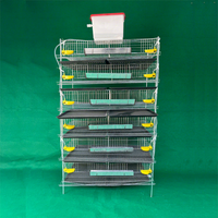 Cage à cailles en treillis soudé galvanisé en forme de H à 6 niveaux, poulailler, cages à cailles à vendre