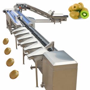 Clasificación de Frutas y Verduras en Planta de Procesamiento: Manzana, Melón, Almejas, Piña, Nueces, Nuez, Tomate, Fruta de Color, Fruta de Color Masacre, Fruta de Color Cashew, Kiwi - Product Image 3