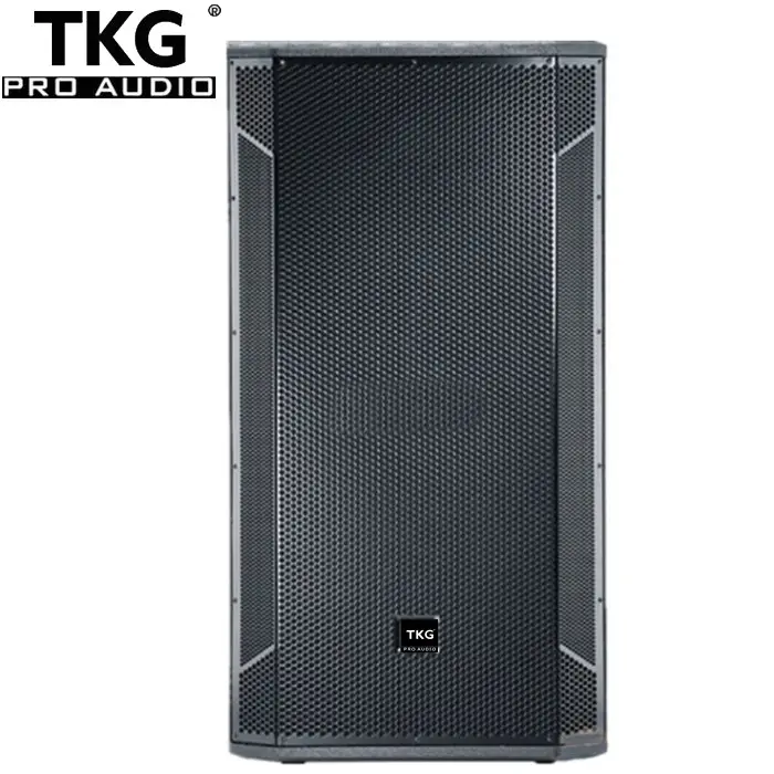 TKG STX825 dual 15 inch 1000w performance sound stage KTV 15" wooden speaker home audio sound system dj