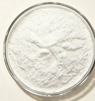 Extrait de Fruit du Moine de Qualité Alimentaire 50% Mogroside V – Poudre de Matière Première en Vrac