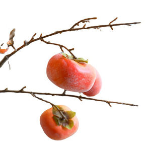 Offre Spéciale <span class=keywords><strong>kaki</strong></span> artificiel <span class=keywords><strong>arbre</strong></span> fruitier maison salon jardin décoration <span class=keywords><strong>arbre</strong></span> fruitier artificiel - Product Image 6