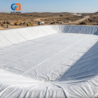 Géotextile en polypropylène 300 g/m² pour allée, tissu non tissé en fibres continues PP aiguilleté pour la séparation des sols et le drainage