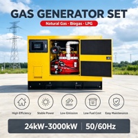 Hocheffizienter 30kW Geräuscharmer Erdgas-Generator 40/50/75/80/100kW Offener LPG-Biogas-Generator Wassergekühlt CE ISO Zertifiziert