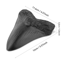 Dent de Requin Mégalodon Géante Sculpture en Résine Peinte à la Main Fossile Décoration Maison Cadeau Collectionneur