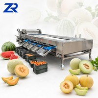 Hoog-efficiënte sorteermachine voor kiwi's, aardappelen, courgettes, tomaten, komkommers, uien, noten, fruit en groenten.