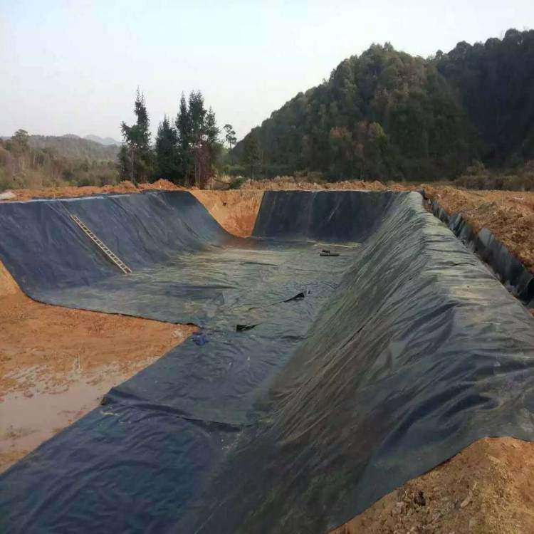 Polyethylene Geomembranas HDPE 40 Mils for