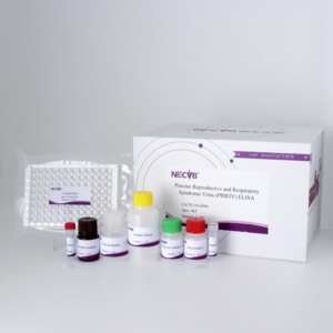 PRRSV Monoclonal Antibody Competitive ELISA <strong>Kit</strong> for Swine Reproductive and Respiratory Syndrome Virus Detection - Product Image 1