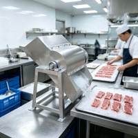 Machine à glace pilée industrielle et commerciale pour entreprises