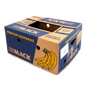 Individuelle Designs Logo Werkspreis starre gewellte starke umweltfreundliche Wassermelone-Banana-Mango-Verpackungsboxen