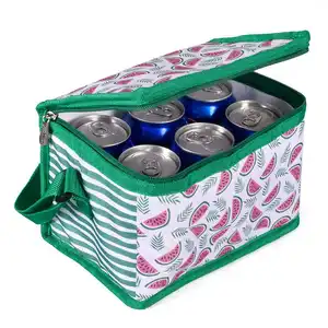 Ucuz 6 can kompozit alüminyum folyo olmayan dokuma yalıtımlı öğle yemeği piknik buzdolabı