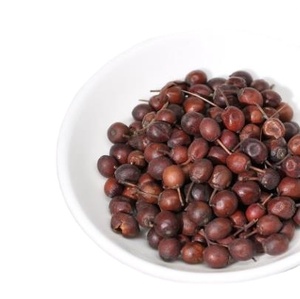 Frutos Secos Enteros de Ilex Cornuta <span class=keywords><strong>Lindl</strong></span> Ex Paxt, Recién Cosechados, Envasados al Vacío, para Té - Product Image 1
