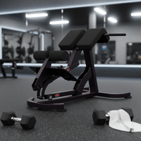 Banc de musculation commercial en acier Q235 avec dossier, chaise romaine, vente directe usine