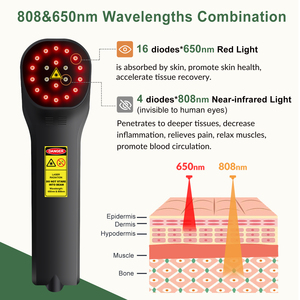 Láser de espectro láser de luz pulsada intensa no invasiva ZJZK para perros en el hogar u hospital para aliviar el dolor articular antiinflamación - Product Image 4