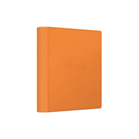 17.5 Venta al por mayor: Set de regalo Pokémon Flareon Edición SC CSV9 5C Serie Terastal Eevee