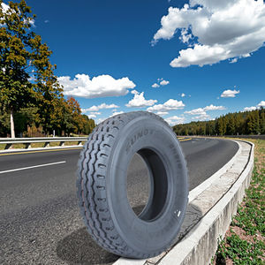 Pneus de camion fabriqués en Chine Qualité de haut <span class=keywords><strong>niveau</strong></span> Toutes les positions Vente en gros mondiale SN318 Taille 13R22.5 13r22.5 13 22.5 - Product Image 6