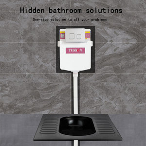 TS008G concealed cistern toilet Automatic Flush Sensor Toilets Tankless Intelligent Smart Wc Mute Bathroom Concealed Cistern