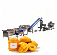 Automatische Mango Jam Productielijn Complete Verwerkingsapparatuur voor Mango Wassen, Ontpitten, Pulperen en Concentreren