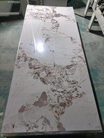Panneau mural en feuille UV à base de SPC haute densité, anti-impact, stable