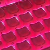 Claviers MAO en forme de chat, version 2.0, touches en cristal brillant, marquages latéraux gravés au laser, claviers personnalisés, 119 touches, fabriqués en Chine