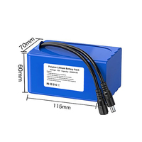 Paket Baterai Lithium Polymer 12V 20000mAh - Daya Kapasitas Tinggi untuk Berkemah/Sistem Tenaga Surya Luar Ruangan/Generator Portabel