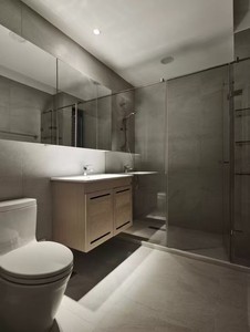 Kaliteli basit Modern özelleştirilmiş kapı banyo çerçevesiz temperli cam kanatlı duş kapısı - Product Image 3
