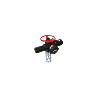 Actionneur électrique Peckwomy PWMOK, norme allemande, usage industriel, entrée analogique - Product Image 4