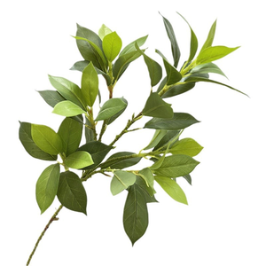 צבע עלווה מלאכותי מזל צבע שינוי צמחייה faux פרחוני עלים itosporum דקורטיביים עבור סידור קיר הצמח - Product Image 4