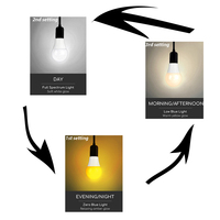 Ampoule LED A19 E26 E27 à spectre complet, lumière naturelle vive, pour chambre à coucher intérieure
