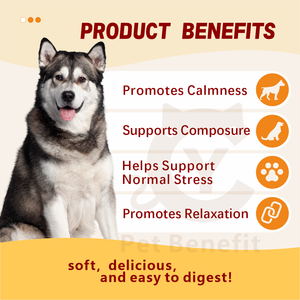 OEM Premium Advanced Calming Soft Chews L-Teanina Ashwagandha - Alivio Natural <span class=keywords><strong>para</strong></span> la Ansiedad, Absorción Rápida, Seguro <span class=keywords><strong>para</strong></span> <span class=keywords><strong>Perros</strong></span>, En Stock - Product Image 5