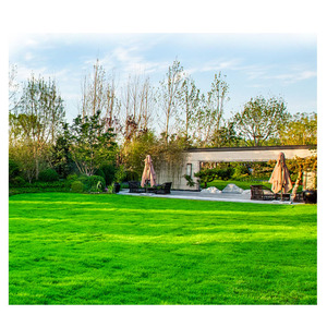 <span class=keywords><strong>Césped</strong></span> sintético para paisajismo, <span class=keywords><strong>césped</strong></span> sintético para jardín, <span class=keywords><strong>precio</strong></span> <span class=keywords><strong>de</strong></span> fábrica - Product Image 3