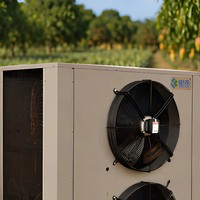 Automatische fruitdroogmachine warmtepompdehydrator voor Aziatische tropische vruchten