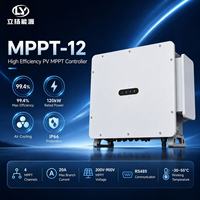 Contrôleur de charge solaire MPPT avec prise en charge de la communication RS485, adapté aux systèmes de stockage d'énergie solaire