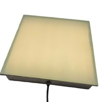 Dalles de sol interactives LED d'intérieur, style miroir, 3D RGB, IP67, pour diffusion en direct, piste de danse lumineuse, activées par le mouvement, avec effet stroboscopique