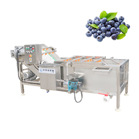 Automatische fruit- en groentezaadreinigingsmachine van roestvrij staal 304, wasmachine voor uien en garnalen met bubbeltechnologie