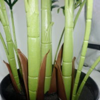 Palmier artificiel en PE, bonsaï, feuilles tropicales, 190 cm, résistant à l'eau, résistant aux UV, écologique, durable, vert, fête des mères