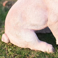 Décoration de jardin réaliste d'animaux en résine, statue de cochon grandeur nature, artisanat en résine, décoration extérieure, fabrication artisanale en fibre de verre, en vente directement de l'usine