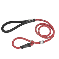 Laisse d'entraînement moderne SecureGrip de type P pour chiens avec motif rayé et décoration réfléchissante, 100 % nylon