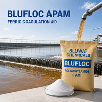 Polyacrylamide Anionique (APAM) pour Aide à la Coagulation des Sels Ferreux CAS 9003-05-8 Fabricant ISO 14001 Sac Big Bag Net de 750 kg