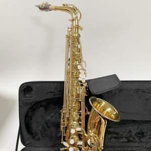 <span class=keywords><strong>Saxophone</strong></span> alto Eb en gros avec étui et accessoires, <span class=keywords><strong>prix</strong></span> <span class=keywords><strong>d</strong></span>'usine, <span class=keywords><strong>saxophone</strong></span> à vendre, acceptation OEM ODM, personnalisation du logo - Product Image 6