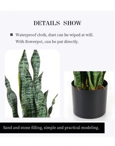 Vente en gros d'usine, plante artificielle Sansevieria <span class=keywords><strong>Trifasciata</strong></span> de marque BF, matière PE, couleur verte, bonsaï d'intérieur/extérieur, jardin - Product Image 3