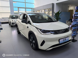 2025 BYD <span class=keywords><strong>Dolphin</strong></span> Vitality Edition Coche eléctrico Hatchback chino 420Km Range New Energy Vehicle - Product Image 5