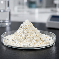 Extrait de Naringine de qualité alimentaire, jaune clair, 98% de pureté, sans solvant, extraite à l'eau, bioflavonoïdes d'agrumes, poudre d'extrait de fruit
