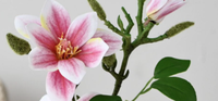 Tanaman Magnolia Buatan dalam Pot, Bunga Magnolia Palsu Bonsai dengan Pot Putih untuk Dekorasi Meja Rumah