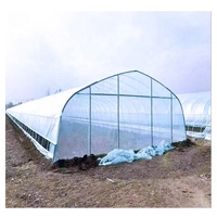 Serre tunnel en acier galvanisé à chaud sur mesure, à insérer dans le sol, pour la culture de légumes et de fruits