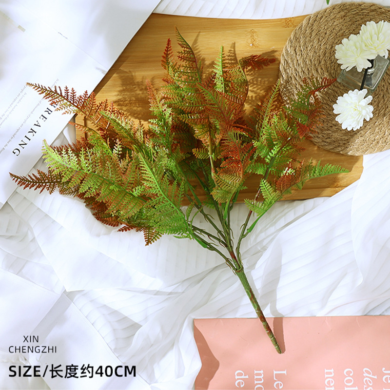 หญ้าเปอร์เซีย (ไล่สีแดง-เขียว)