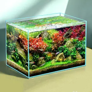 صديقة للبيئة سطح المكتب aquascape الأسماك الزينة المنزلية السوبر بيضاء زجاج صغير غرفة المعيشة خزانات زجاجية
