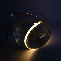 Bande lumineuse fluo à LED en Silicone, imperméable et Flexible, luminaire décoratif d'intérieur ou d'extérieur, idéal pour une cuisine, une chambre à coucher, 12V